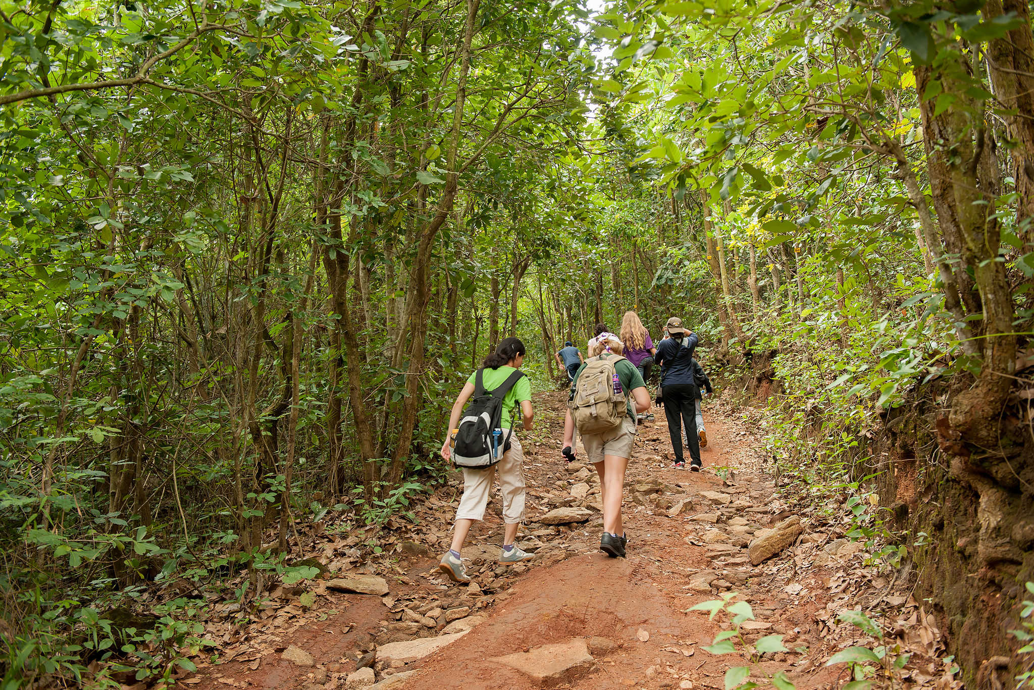 Nature lovers enjoying a Trek in Bannerghatta near Bangalore